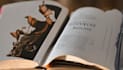 do graphic novel book