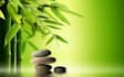 provide CPA tax preparation, filing and consulting