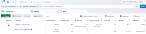 manage meta ads for your business