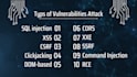 conduct penetration testing and vulnerability assessments