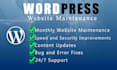 do maintenance of your word press website