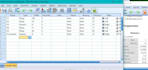 offer rstudio, stata, python, and sql statistical expertise