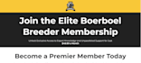 be your ghl expert for website, sales funnel and automations