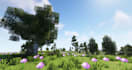 make realistic minecraft map terrain for you
