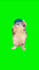 create a funny viral video with trending kittens
