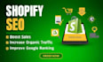 shopify store setup and SEO optimization course 2026
