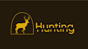 create a custom logo animation