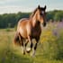 generate ai art using stable diffusion