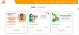 convert your figma design to a responsive wordpress website using elementor
