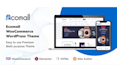 redesign premium ecommerce wordpress website