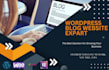 create and develop a professional wordpress website and blog