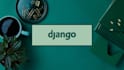 develop professional website with django python