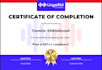 provide medical interpreting english and arabic