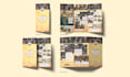 create professional brochures for your company or brand