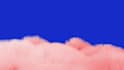 make 3d fur hair velcro effect for your modern logo or type