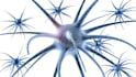 do 3d medical and scientific modeling and animation