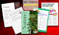 design canva worksheet, workbook and document formatting