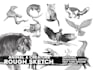 sketch and illustrate creatures or animals