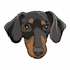 embroidery digitizing into dst,pes,jef in 1 hour