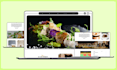 create a complete interactive UX UI design with adobe xd