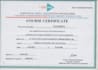 perform expert data cleaning, data formatting, data analysis and web research