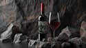design premium alcoholic label for wine , gin and vodka
