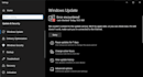 fix any technical issues related to microsoft windows os