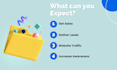 setup manage and run facebook ads for you