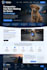 wordpress responsive website design or redesign