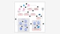 deploy kubernetes clusters with gitlab ci cd pipelines