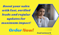 be your  VA in b2b lead generation ,google map scraping and phone number list