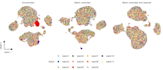 produce amazing scientific data visualization in rstudio