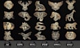 prepare your drawings, images for laser cutting, engraving