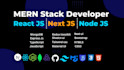 work nextjs reactjs node js developer mui shadcn ui tailwind css antd html5 css3