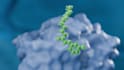 make 3d animation of proteins for science and biology