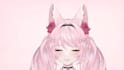 model 2d vtuber, 2d vtuber, 2d vtuber design, 2d vtuber rigging, pngtuber