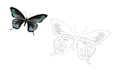 make any photo into dot to dot and connect the dots page
