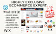 build shopify website multivendor online store wordpress ecommerce website