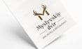 design a logo and brand identity