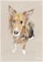 draw you the best pawtrait of your pet
