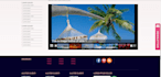redesign or customize website for business