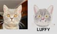 create embroidery digitizing your dog, cat, and pet face within one hour
