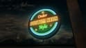 make neon logo animation and neon intro, neon sign