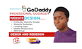 design,redesign and develop a professioal godaddy website