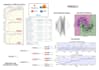perform advanced data analysis to boost your business