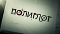 create a custom motion graphics animated logo intro
