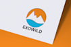 do customized, business and timeless logo design