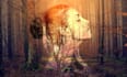 create a photo edit using the double exposure technique