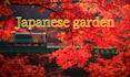 plan your special japan vacation from a local perspective