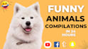 create monetizable funny viral videos for your youtube channel